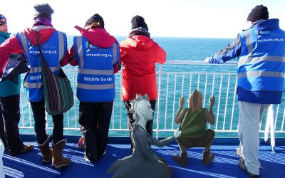 Sea-Mammals-Tale-Travadlock